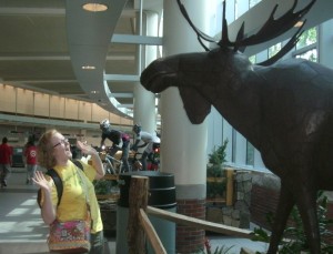 Corrie Meets Her First Moose