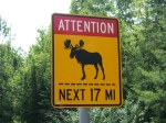 Moose Crossing Sign from Maine